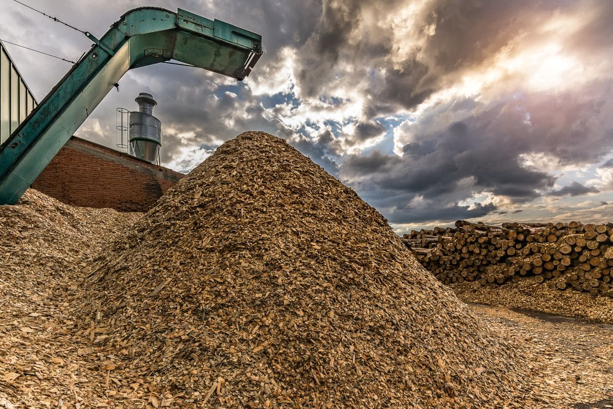 Crushing machine of wood and logs to process waste and transform into pellets, as an alternative to fossil fuel